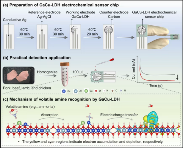 九融配资 这个平台可快速智能检测肉品新鲜度！