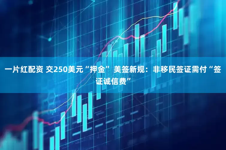 一片红配资 交250美元“押金” 美签新规：非移民签证需付“签证诚信费”